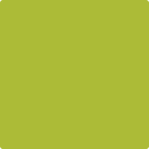 2027-20 Spring Moss