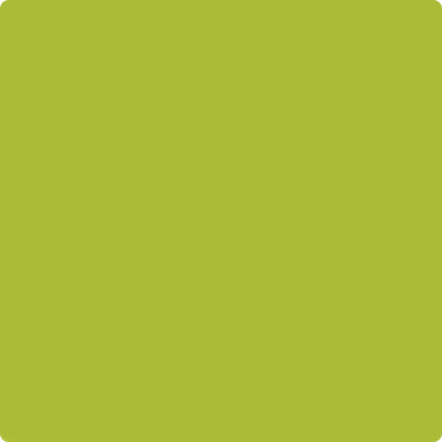 2027-20 Spring Moss