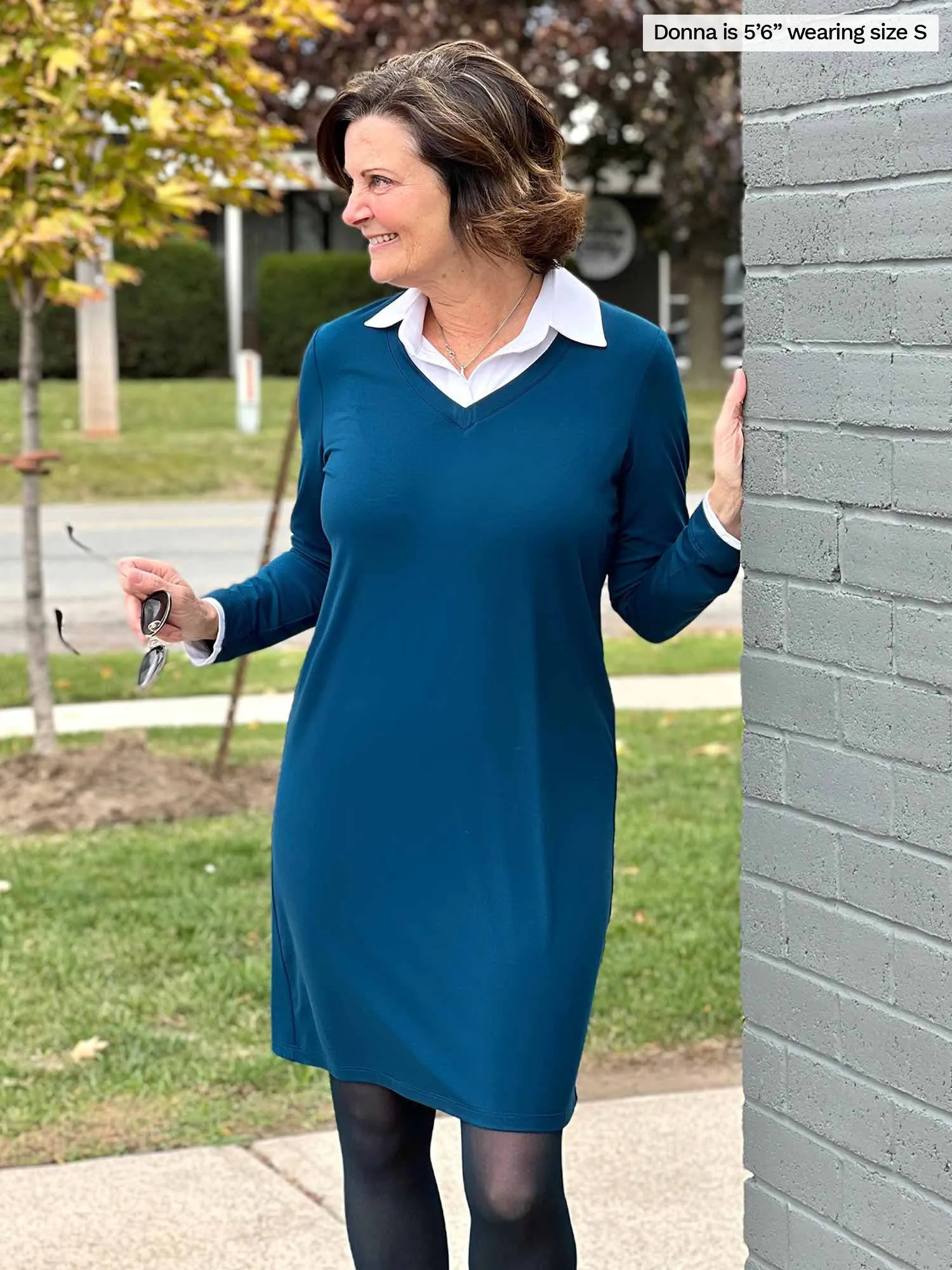 Adelaide collared long sleeve dress - FINAL SALE