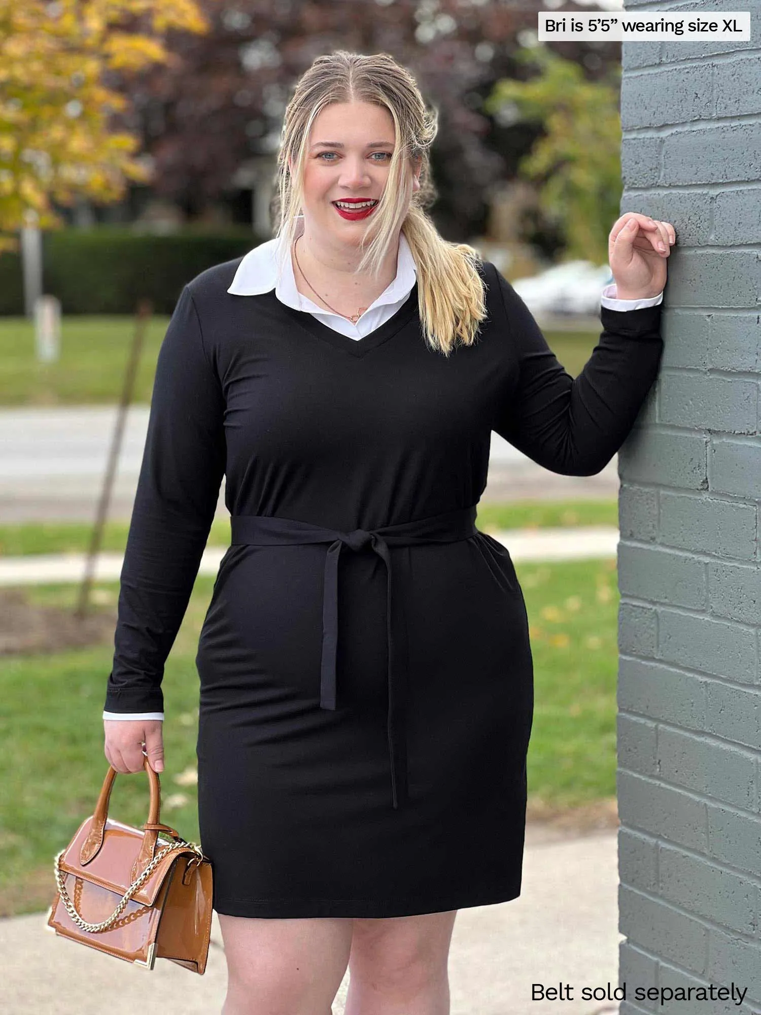 Adelaide collared long sleeve dress - FINAL SALE